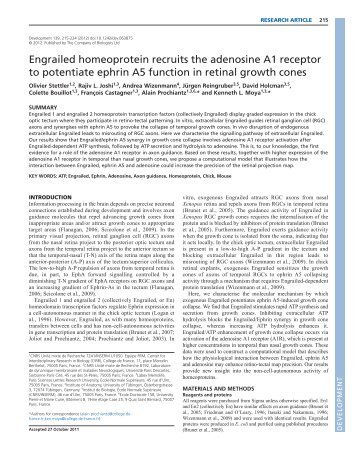 PDF (2 Mo) - ENS Biology Department - Ecole Normale SupÃ©rieure