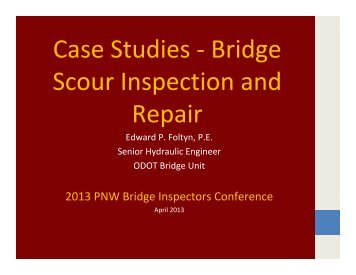Case Studies - Bridge Scour Inspection - WSU Conference ...