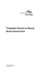 projectplan 'Herstel en nazorg brand Chemie-Pack' - gemeente ...