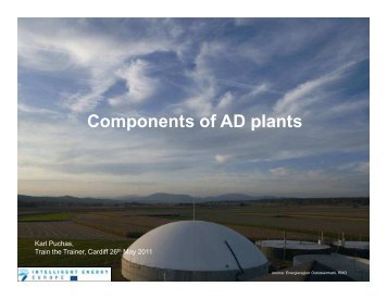 Components of AD plants