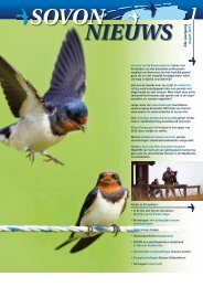 SN 11-01..pdf - SOVON Vogelonderzoek Nederland