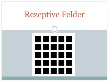 Rezeptive Felder