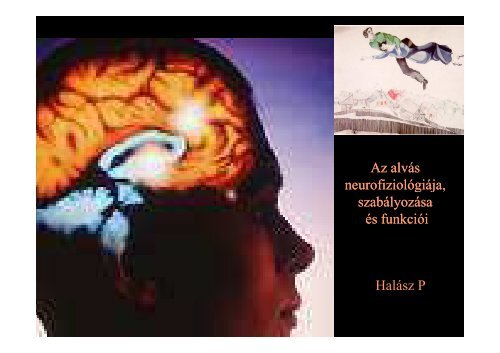 Az alvás neurofiziológiája, szabályozása és funkciói