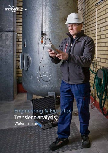 Engineering & Expertise Transient analysis - Water Solutions