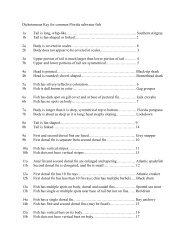 Dichotomous Key for common Florida saltwater fish