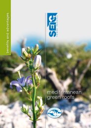 mediterranean green roofs - Harpo spa