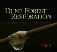Dune forest restoration - CERU