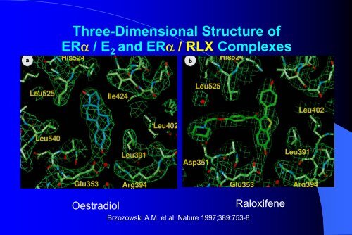 Role of Mirena in HRT - Nick Panay