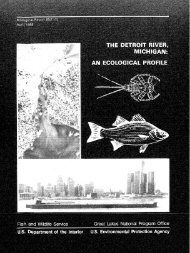 The Detroit River, Michigan: An Ecological Profile - USGS National ...