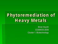 Phytoremediation of Heavy Metals - COSMOS