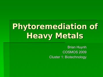 Phytoremediation of Heavy Metals - COSMOS