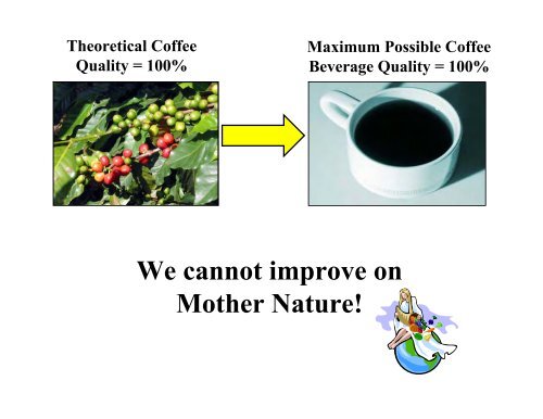 Optimizing Brewed Coffee Quality Through Proper Grinding