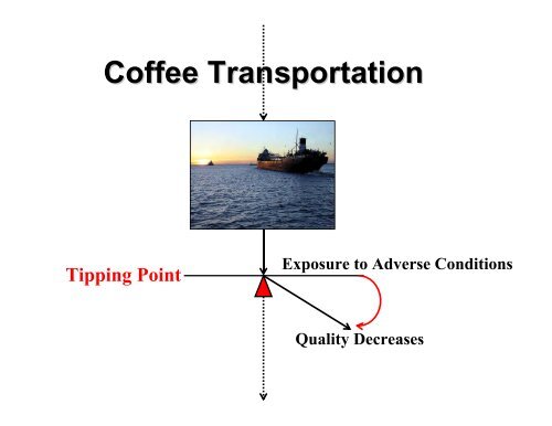 Optimizing Brewed Coffee Quality Through Proper Grinding