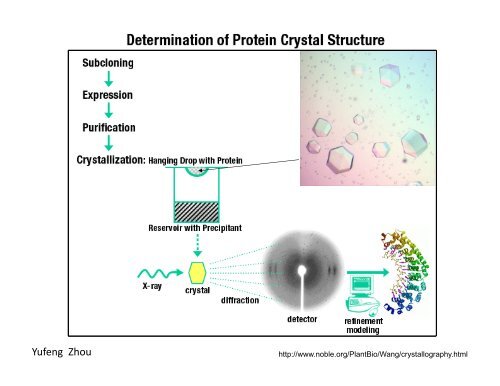 Introduction to X-ray Crystallography