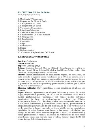 1 EL CULTIVO DE LA PAPAYA The papaya growing 1. Morfología Y ...