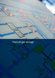 Natural gas storage - Snam