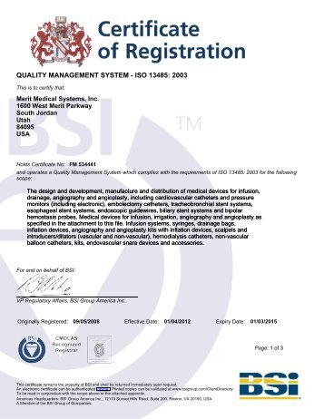 BSI Certificate - Merit Medical OEM