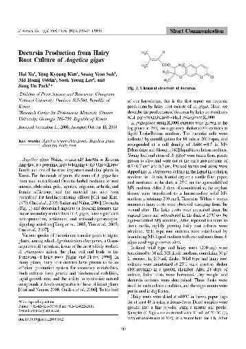 Decursin Production from Hairy Root Culture of Angelica gigas