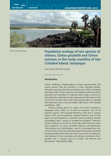 Population ecology of two species of chitons, Chiton goodallii and ...