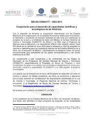 Convocatoria Becas CONACYT - OEA 2013