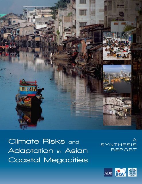 Climate risks and adaptation in Asian coastal megacities: A synthesis