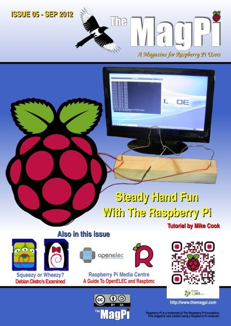 Steady Hand Fun With The Raspberry Pi - Adrirobot