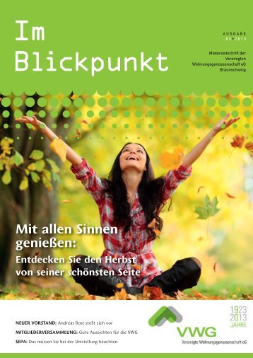 ImBlickpunkt 02.2013 (PDF) - VWG Braunschweig