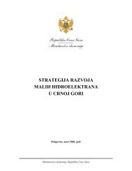 strategija razvoja malih hidroelektrana u crnoj gori