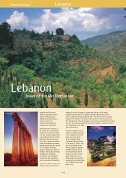 Lebanon - Airep