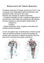 Muscoli 1.pdf - Master in INGEGNERIA CLINICA