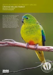 zoos victoria's 2o priority species orange-bellied parrot