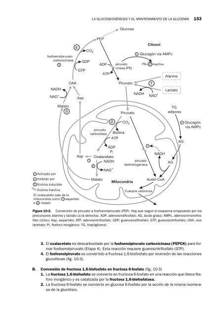 bioquÃ­mica y biologÃ­a molecular - Lwwes.com