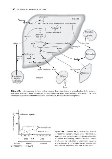 bioquÃ­mica y biologÃ­a molecular - Lwwes.com