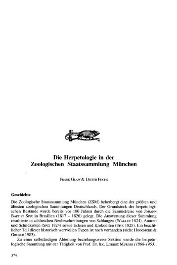 Die Herpetologie in der Zoologischen Staatssammlung MÃ¼nchen