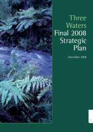 Three Waters Final 2008 Strategic Plan - Watercare