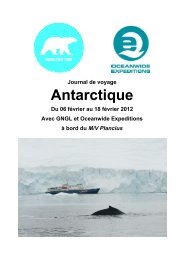 Antarctique - Le blog de glace - Grand Nord Grand Large