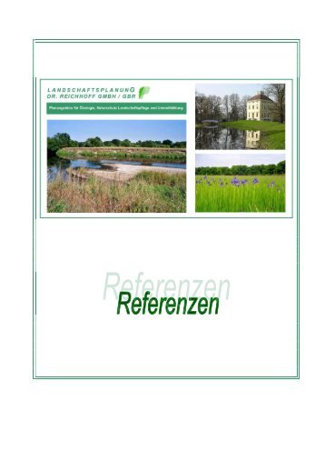 Umweltverträglichkeitsstudien, Landschaftspflegerische Begleitpläne