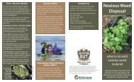 Check out our new brochure on noxious weed disposal.