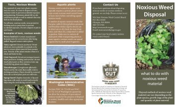 Check out our new brochure on noxious weed disposal.