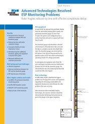 Advanced Technologies Resolved ESP Monitoring ... - Baker Hughes