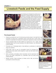 Chapter 3: Livestock Feeds and the Feed Supply (PDF | 369KB)