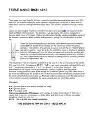 TRIPLE SUGAR IRON AGAR