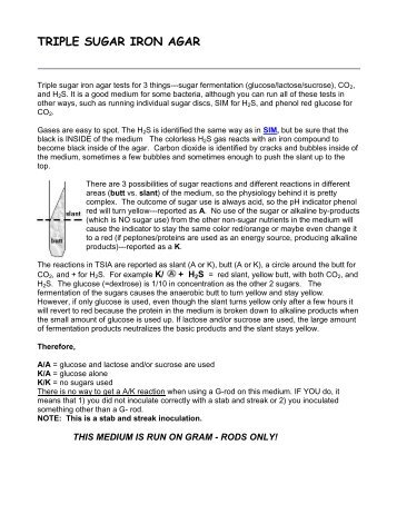 TRIPLE SUGAR IRON AGAR