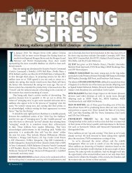 Emerging Sires - American Morgan Horse Association