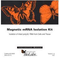 manual Magnetic mRNA Isolation Kit S1550S