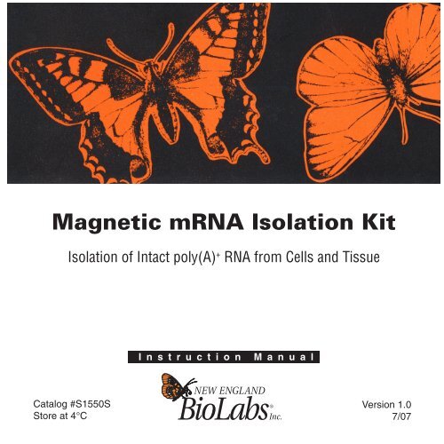 manual Magnetic mRNA Isolation Kit S1550S