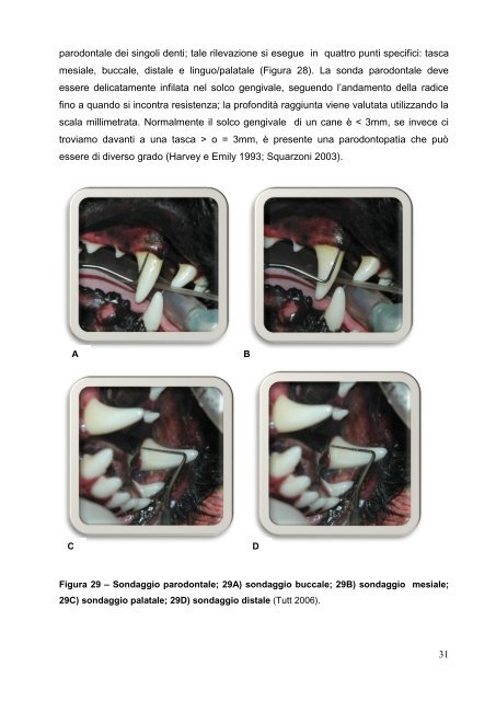 Documento PDF - Università degli Studi di Padova