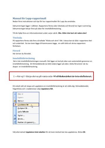 Manual fÃƒÂ¶r Lupp-rapportmall - Ungdomsstyrelsen