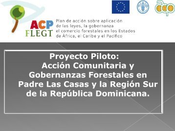 Acción Comunitaria y Gobernanzas Forestales en Padre ... - CEDAF