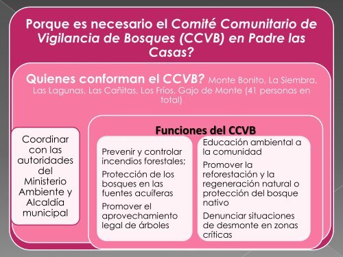 Acción Comunitaria y Gobernanzas Forestales en Padre ... - CEDAF